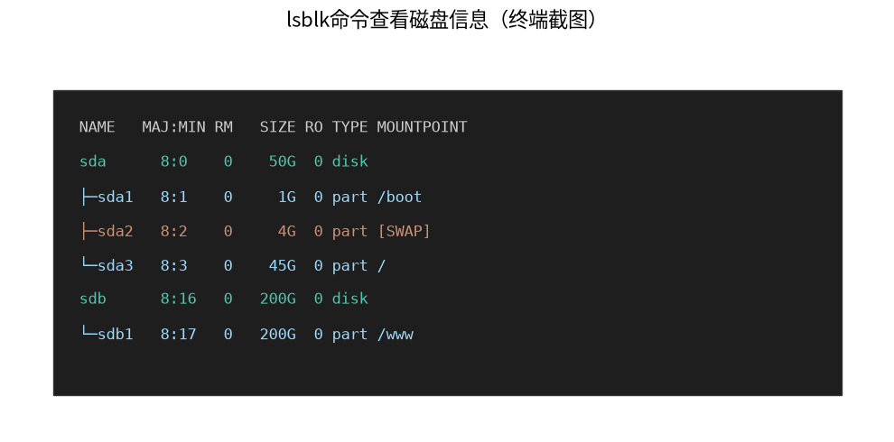 lsblk命令查看磁盘信息(终端截图)